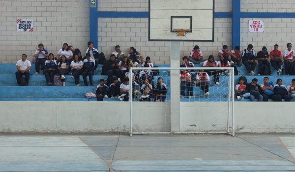 PXL_20251031_172132512